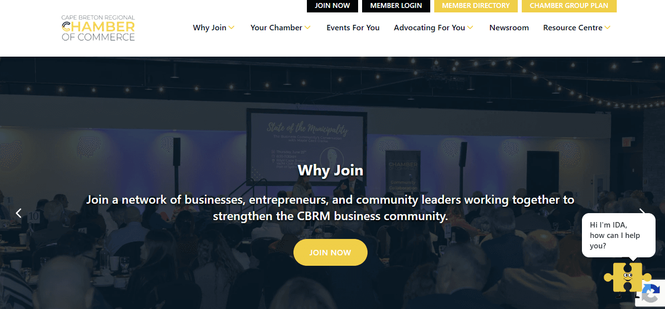 Website Ads image
